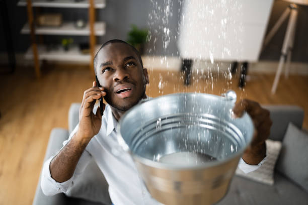 Best Mold removal after water damage  in Jersey Village, TX