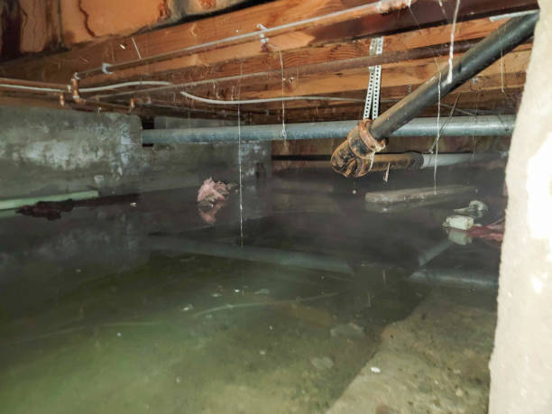 Best Ceiling water damage repair  in Jersey Village, TX