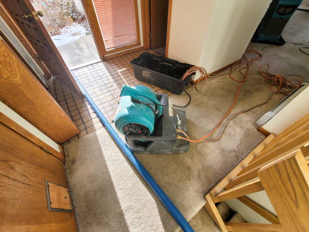 Best 24/7 water damage repair  in Jersey Village, TX