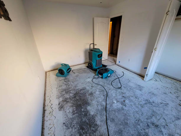 Best Mold removal after water damage  in Jersey Village, TX