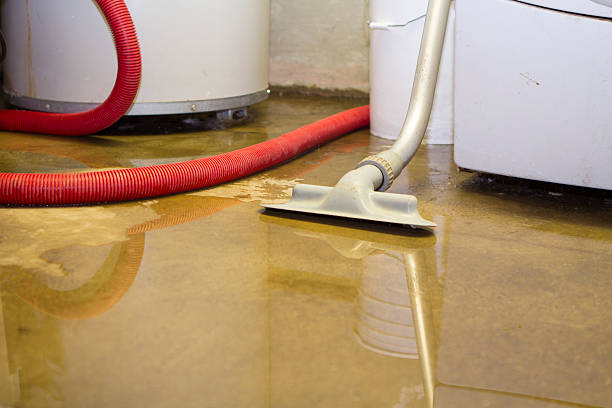 Best Professional water damage repair  in Jersey Village, TX